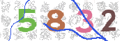 CAPTCHA 驗證圖片