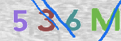 CAPTCHA 驗證圖片