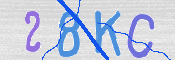CAPTCHA 驗證圖片