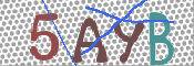 CAPTCHA 驗證圖片