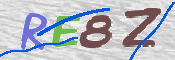 CAPTCHA 驗證圖片