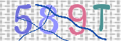 CAPTCHA 驗證圖片