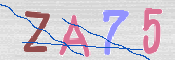 CAPTCHA 驗證圖片