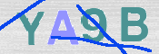 CAPTCHA 驗證圖片