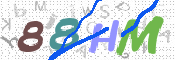 CAPTCHA 驗證圖片