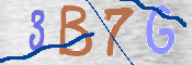 CAPTCHA 驗證圖片