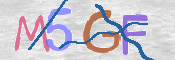 CAPTCHA 驗證圖片