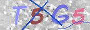 CAPTCHA 驗證圖片