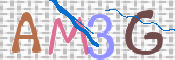 CAPTCHA 驗證圖片