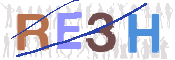 CAPTCHA 驗證圖片