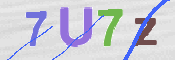 CAPTCHA 驗證圖片