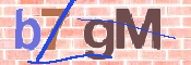 CAPTCHA 驗證圖片