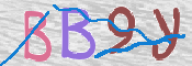 CAPTCHA 驗證圖片