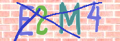 CAPTCHA 驗證圖片