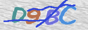 CAPTCHA 驗證圖片