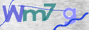 CAPTCHA 驗證圖片