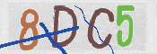 CAPTCHA 驗證圖片