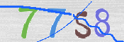 CAPTCHA 驗證圖片