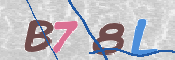 CAPTCHA 驗證圖片