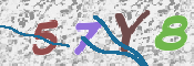 CAPTCHA 驗證圖片