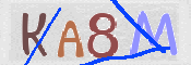 CAPTCHA 驗證圖片