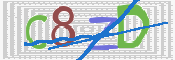 CAPTCHA 驗證圖片