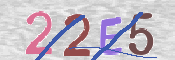 CAPTCHA 驗證圖片