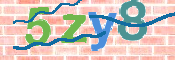 CAPTCHA 驗證圖片