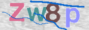 CAPTCHA 驗證圖片