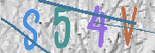 CAPTCHA 驗證圖片