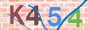 CAPTCHA 驗證圖片