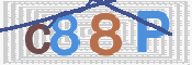 CAPTCHA 驗證圖片