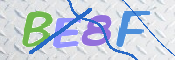 CAPTCHA 驗證圖片
