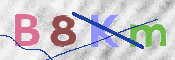 CAPTCHA 驗證圖片
