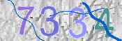 CAPTCHA 驗證圖片
