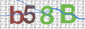 CAPTCHA 驗證圖片