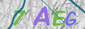 CAPTCHA 驗證圖片