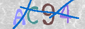 CAPTCHA 驗證圖片