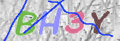 CAPTCHA 驗證圖片