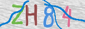 CAPTCHA 驗證圖片