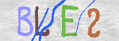 CAPTCHA 驗證圖片