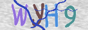CAPTCHA 驗證圖片