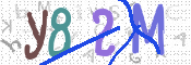 CAPTCHA 驗證圖片