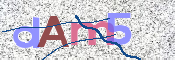 CAPTCHA 驗證圖片