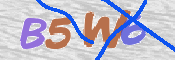CAPTCHA 驗證圖片