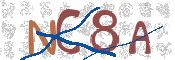 CAPTCHA 驗證圖片