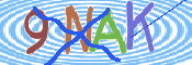 CAPTCHA 驗證圖片