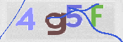 CAPTCHA 驗證圖片