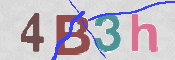CAPTCHA 驗證圖片