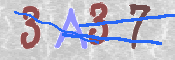 CAPTCHA 驗證圖片
